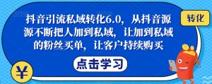 抖音引流私域转化6.0，从抖音源源不断把人加到私域，让加到私域的粉丝买单，让客户持续购买-16888副业资讯