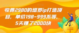 收费2980的塔罗ip打造项目，单价198-999不等，5天赚了2000块【揭秘】-16888副业资讯