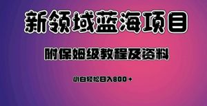 虚拟资源蓝海领域新项目，轻松日入800＋，附保姆级教程及资料-16888副业资讯