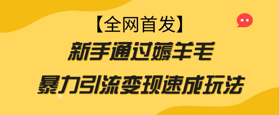 【全网首发】新手通过薅羊毛暴力引流变现速成玩法-16888副业资讯