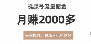 视频号流量掘金，无脑操作，对新人小白友好，月赚2000多【揭秘】-16888副业资讯