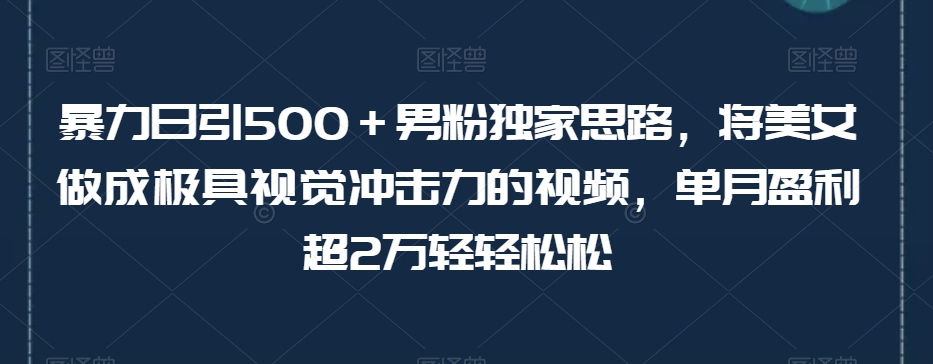 暴力日引500＋男粉独家思路，将美女做成极具视觉冲击力的视频，单月盈利超2万轻轻松松-16888副业资讯