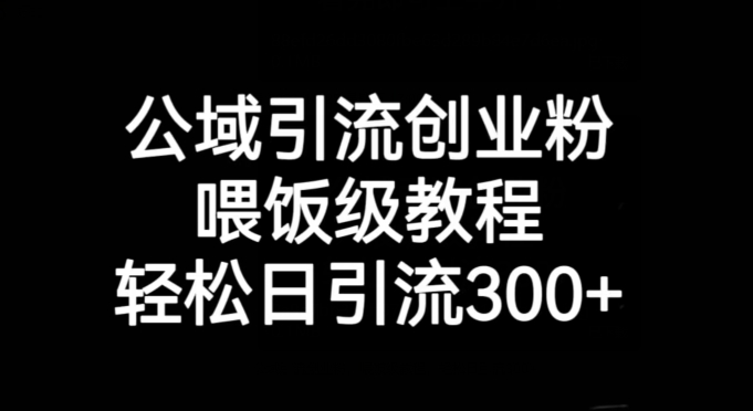 公域引流创业粉，喂饭级教程，轻松日引流300+【揭秘】-16888副业资讯