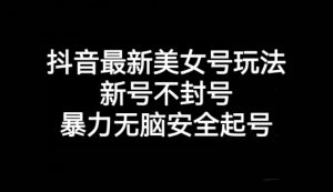 抖音最新美女号玩法,新号不封号,暴力无脑安全起号【揭秘】-16888副业资讯