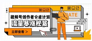 一条视频收益3000+，一条作品涨粉2000+，视频号流量爆炸·的秘籍-16888副业资讯