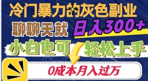 冷门暴利的副业项目，聊聊天就能日入300+，0成本月入过万【揭秘】-16888副业资讯