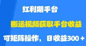 搬运视频获取平台收益,平台红利期,附保姆级教程【揭秘】-16888副业资讯