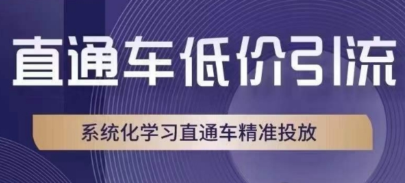直通车低价引流课，系统化学习直通车精准投放-16888副业资讯