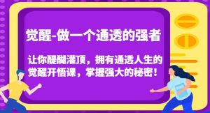 觉醒-做一个通透的强者,让你醍醐灌顶,拥有通透人生的觉醒开悟课,掌握强大的秘密!-16888副业资讯