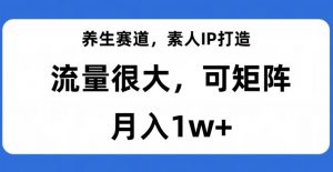 养生赛道,素人IP打造,流量很大,可矩阵,月入1w+【揭秘】-16888副业资讯