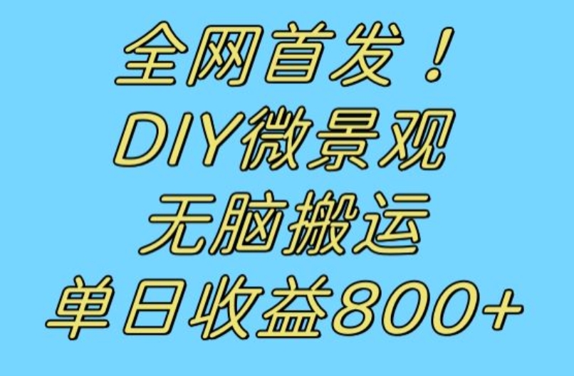 全网首发冷门赛道！DIY微景观，无脑搬运视频，日收益800+【揭秘】-16888副业资讯