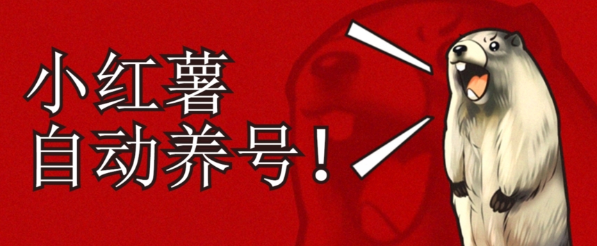 小红书养号秘籍，如何自动涨粉清晰系统标签打造高权重账号【揭秘】-16888副业资讯