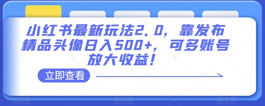 小红书最新玩法2.0，靠发布精品头像日入500+，可多账号放大收益！【揭秘】-16888副业资讯