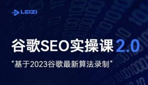 雷子·谷歌SEO 2.0实战课，独立站询盘自由必备，基于2023谷歌最新算法录制-16888副业资讯