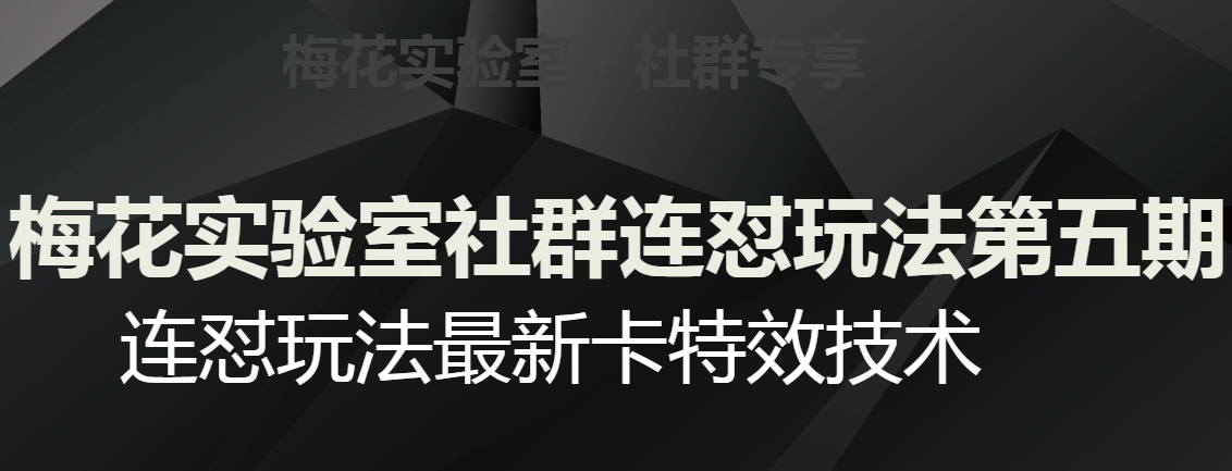 梅花实验室社群连怼玩法第五期，视频号连怼玩法最新卡特效技术-16888副业资讯