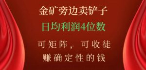金矿旁边卖铲子，赚确定性的钱，可矩阵，可收徒，日均利润4位数【揭秘】-16888副业资讯