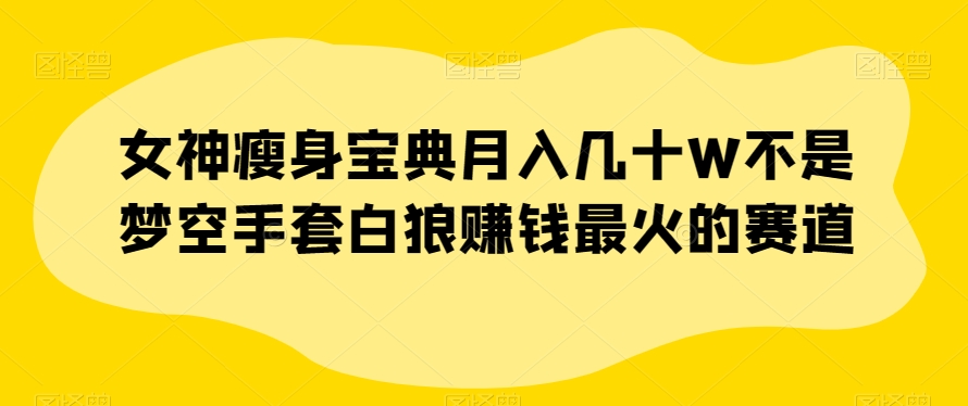 女神瘦身宝典月入几十W不是梦空手套白狼赚钱最火的赛道【揭秘】-16888副业资讯