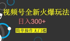视频号最新爆火玩法，日入300+，简单操作无门槛【揭秘】-16888副业资讯