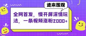 全网首发，慢开屏深情玩法，一条视频涨粉2000+【揭秘】-16888副业资讯
