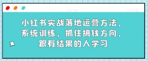 小红书实战落地运营方法，系统训练，抓住搞钱方向，跟有结果的人学习-16888副业资讯
