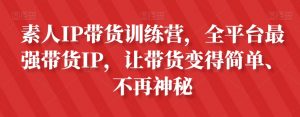 素人IP带货训练营,全平台最强带货IP,让带货变得简单、不再神秘-16888副业资讯