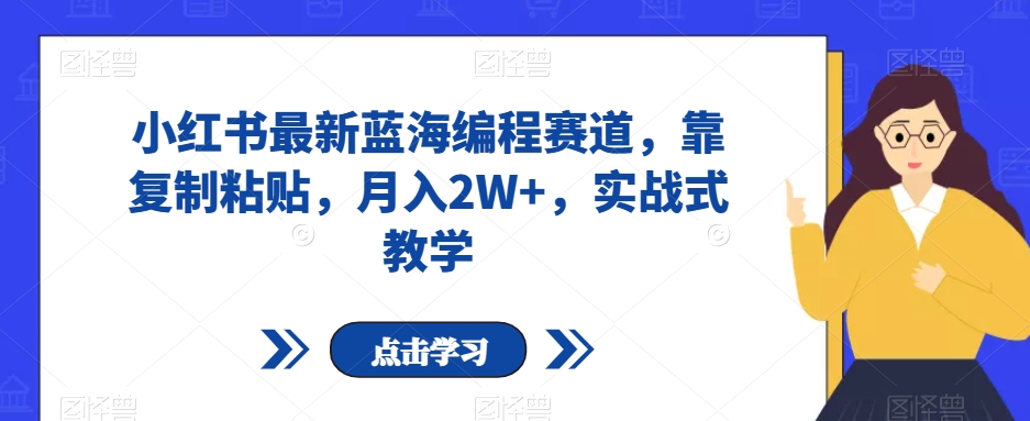 小红书最新蓝海编程赛道，靠复制粘贴，月入2W+，实战式教学【揭秘】-16888副业资讯