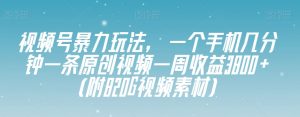 视频号暴力玩法，一个手机几分钟一条原创视频一周收益3800+（附820G视频素材）-16888副业资讯
