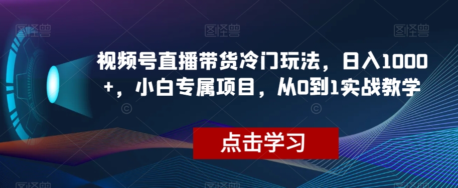 视频号直播带货冷门玩法，日入1000+，小白专属项目，从0到1实战教学【揭秘】-16888副业资讯