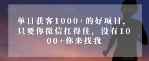 单日获客1000+的好项目，只要你微信扛得住，没有1000+你来找我【揭秘】-16888副业资讯