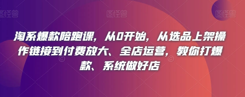 淘系爆款陪跑课，从0开始，从选品上架操作链接到付费放大、全店运营，教你打爆款、系统做好店-16888副业资讯