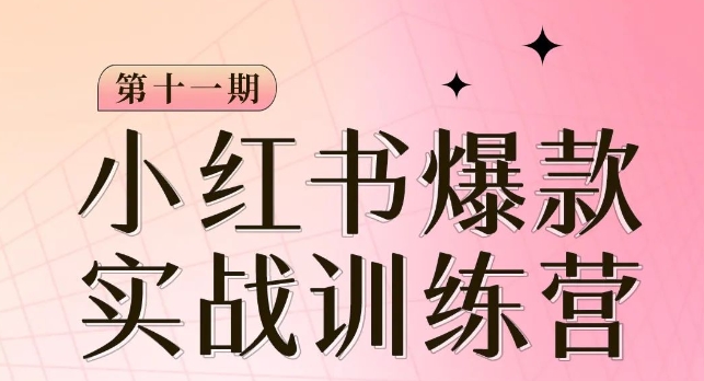 小红书博主爆款训练营第11期，手把手教你从0-1做小红书，从定位到起号到变现-16888副业资讯