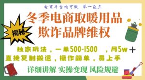 利用电商平台冬季销售取暖用品欺诈行为合理制裁店铺，单日入900+【仅揭秘】-16888副业资讯