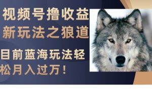 视频号撸收益新玩法之狼道,目前蓝海玩法,轻松月入过万【揭秘】-16888副业资讯