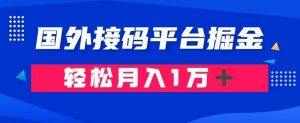 通过国外接码平台掘金：成本1.3，利润10＋，轻松月入1万＋【揭秘】-16888副业资讯