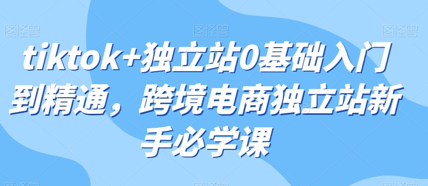 tiktok+独立站0基础入门到精通，跨境电商独立站新手必学课-16888副业资讯