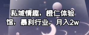 私域情趣，橙仁体验馆，暴利行业，月入2w【揭秘】-16888副业资讯