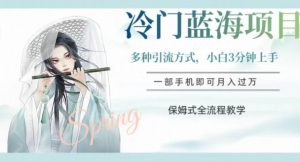 冷门蓝海项目，操作简单，小白3分钟上手，多种引流方式，保姆式全流程教学【揭秘】-16888副业资讯