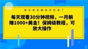 每天观看30分钟视频，一月躺赚1000+美金！保姆级教程，可放大操作【揭秘】-16888副业资讯