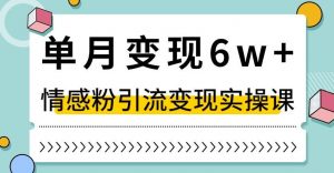 单月变现6W+，抖音情感粉引流变现实操课，小白可做，轻松上手，独家赛道【揭秘】-16888副业资讯