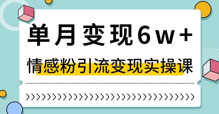单月变现6W+，抖音情感粉引流变现实操课，小白可做，轻松上手，独家赛道【揭秘】-16888副业资讯