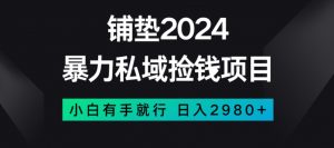 暴力私域捡钱项目,小白无脑操作,日入2980【揭秘】-16888副业资讯