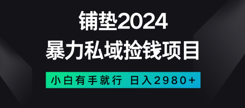 暴力私域捡钱项目，小白无脑操作，日入2980【揭秘】-16888副业资讯