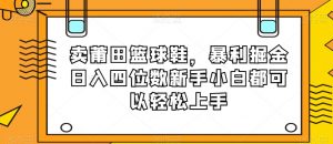 卖莆田篮球鞋，暴利掘金日入四位数新手小白都可以轻松上手【揭秘】-16888副业资讯