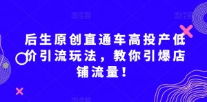 后生原创直通车高投产低价引流玩法，教你引爆店铺流量！-16888副业资讯