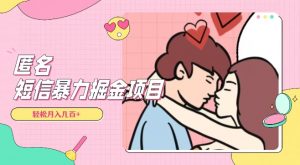 全网首发，揭秘超冷门匿名短信项目，通过信息差日入几百+【揭秘】-16888副业资讯