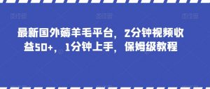 最新国外薅羊毛平台，2分钟视频收益50+，1分钟上手，保姆级教程【揭秘】-16888副业资讯