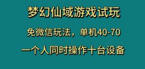 梦幻仙域游戏试玩，免微信玩法，单机40-70，一个人同时操作十台设备【揭秘】-16888副业资讯