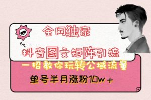 全网独家抖音图文矩阵引流,一招教你玩转公域流量,单号半月涨粉10w+【揭秘】-16888副业资讯