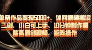 单条作品变现5000+、外网视频搬运二创，小白可上手，10分钟制作爆款高原创视频，矩阵操作【揭秘】-16888副业资讯