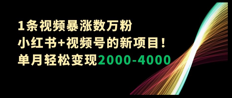 1条视频暴涨数万粉–小红书+视频号的新项目！单月轻松变现2000-4000【揭秘】-16888副业资讯